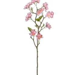 Apfelblütenzweig APFELBLÜTE