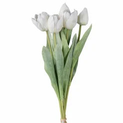 Blumenstrauß 5er TULPE