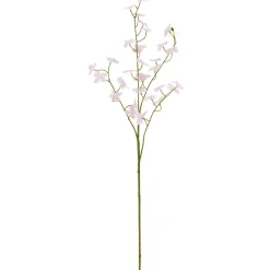 Cornuszweig REAL TOUCH