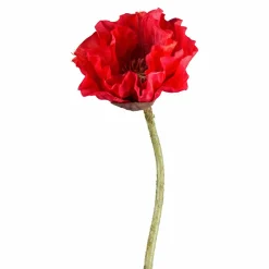 Deko-Blume MOHN