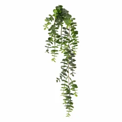 Dekopflanze Eukalyptus-Hängezweig EUKALYPTUS