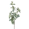 Dekopflanze Eukalyptuszweig EUKALYPTUS