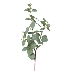 Dekopflanze Eukalyptuszweig EUKALYPTUS
