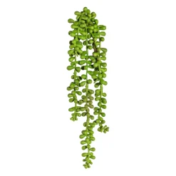 Dekopflanze Hängezweig SEDUM