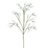 Jasminzweig JASMIN