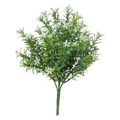 Sternblütenbusch FLOWERS
